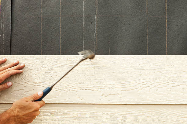 Best Vinyl Siding Installation  in Cloverdale, IN